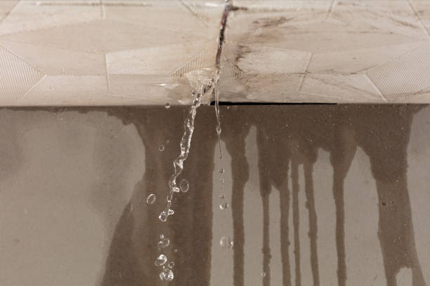 Professional Water Damage Repair technician working in Oberlin, OH